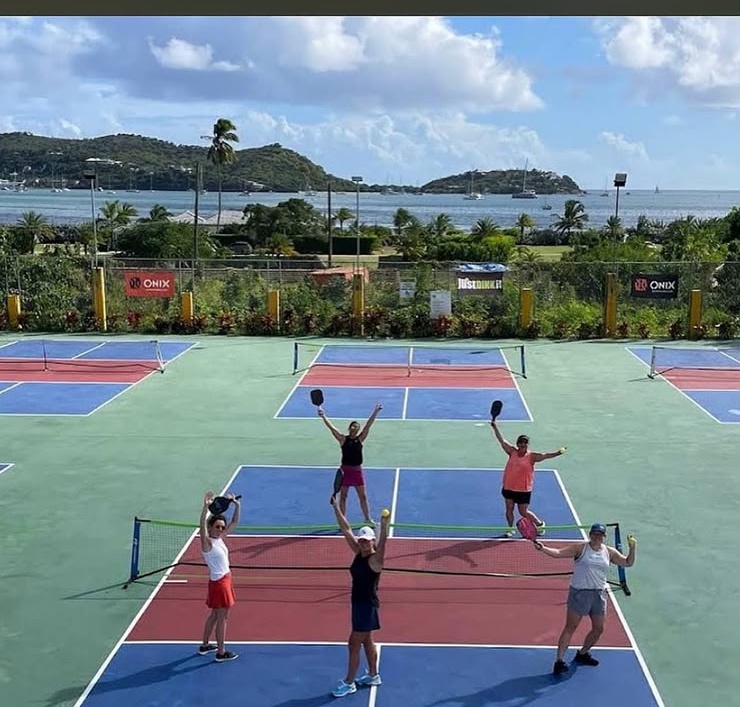 Group of five players raising paddles and arms in celebration on court with the harbour and hills behind them